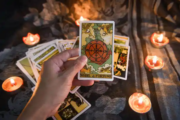 tarot cards North Branch